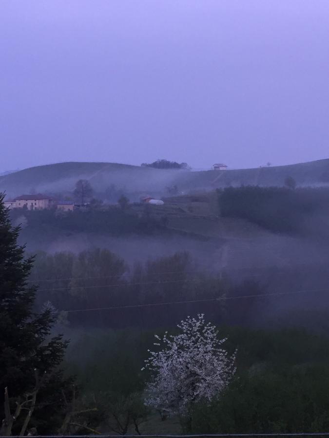 Cascina Baresane Bed & Breakfast Alba  Bagian luar foto