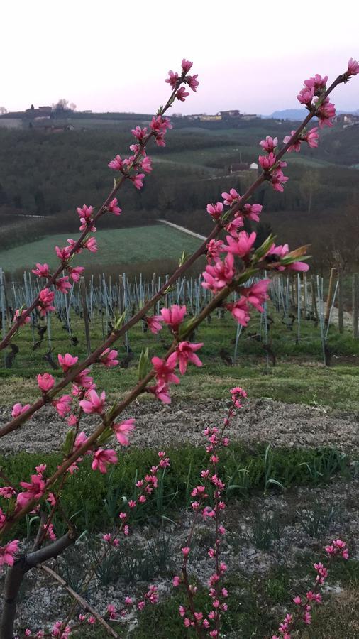 Cascina Baresane Bed & Breakfast Alba  Bagian luar foto