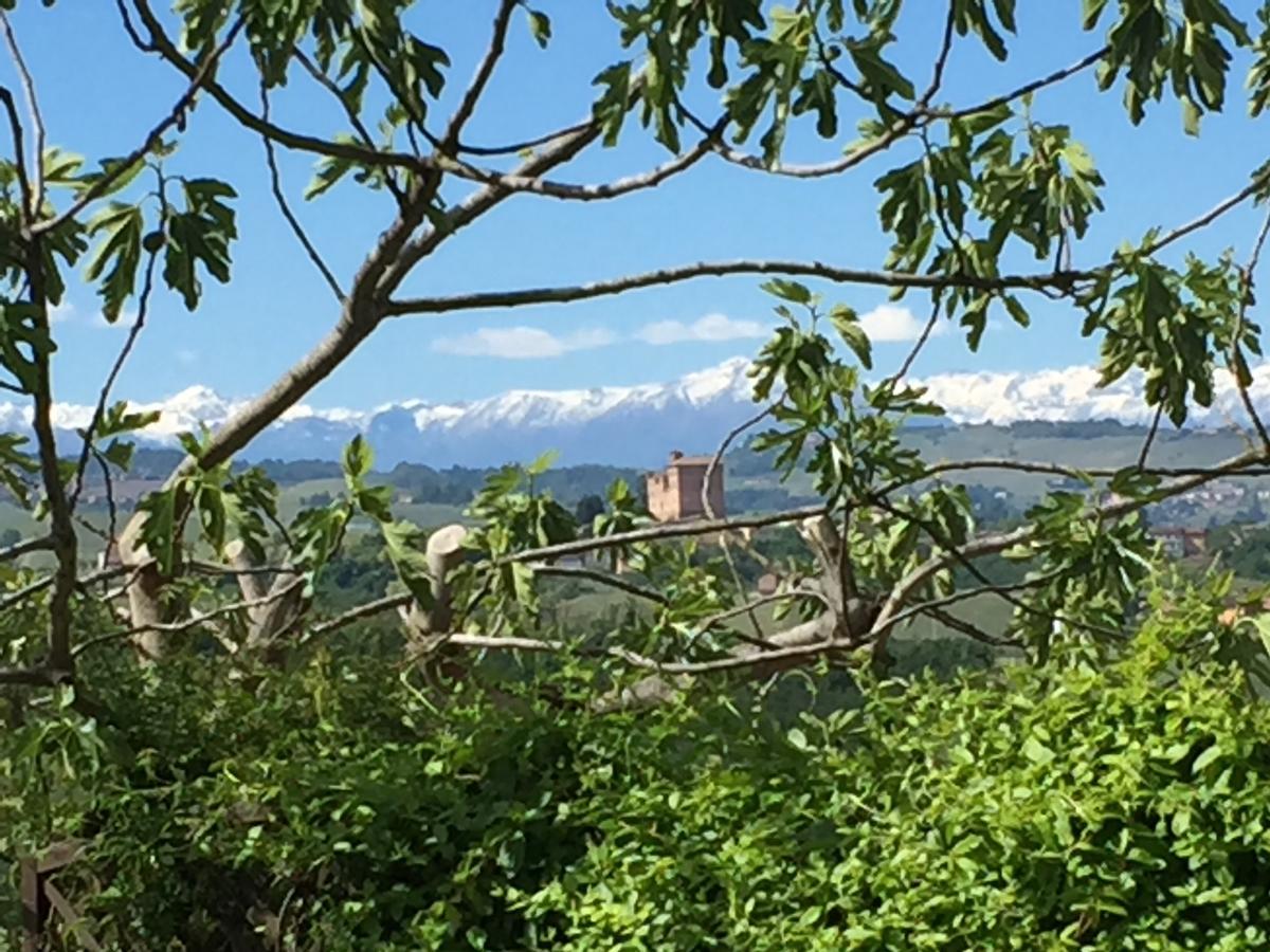 Cascina Baresane Bed & Breakfast Alba  Bagian luar foto