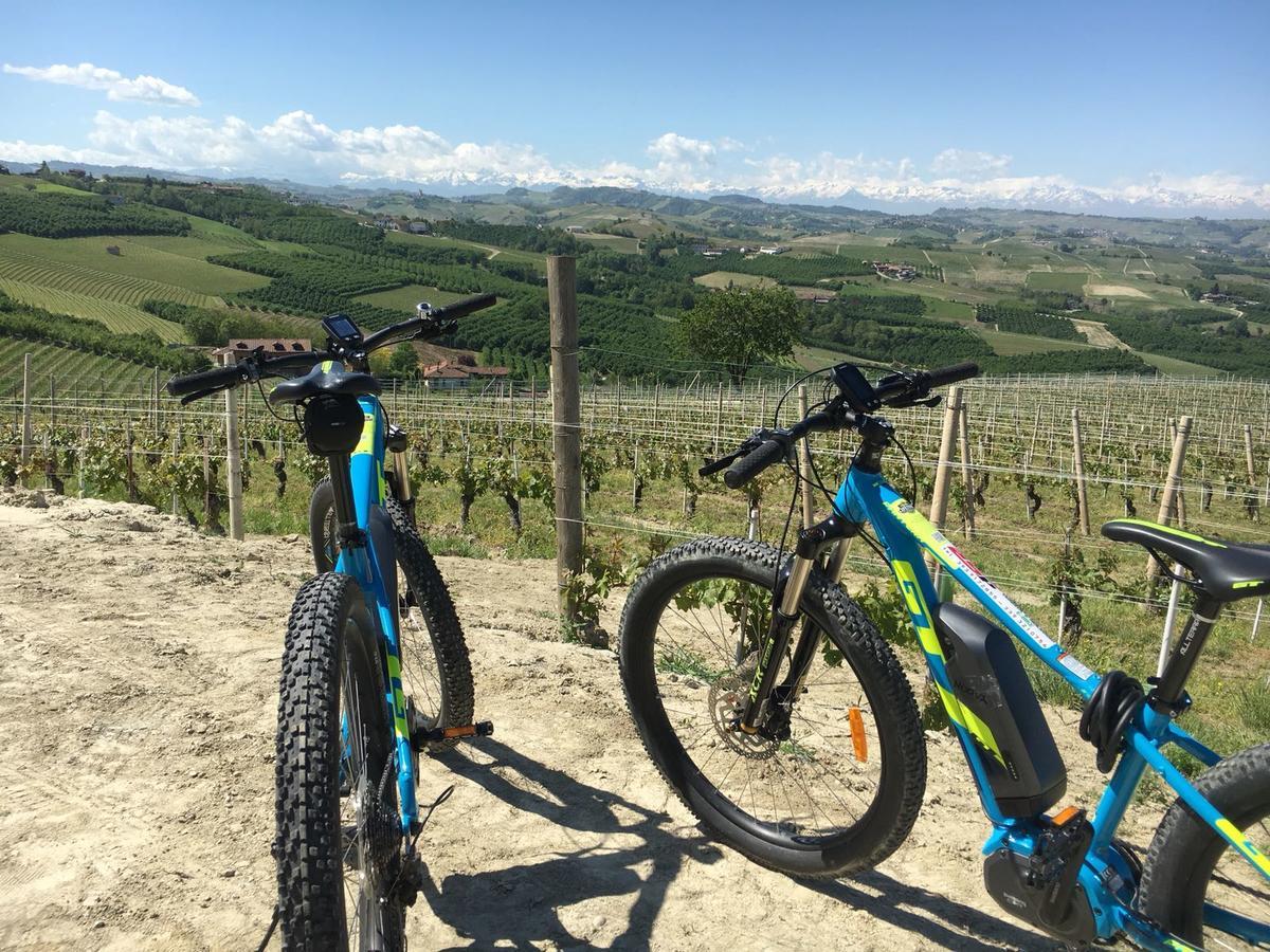 Cascina Baresane Bed & Breakfast Alba  Bagian luar foto