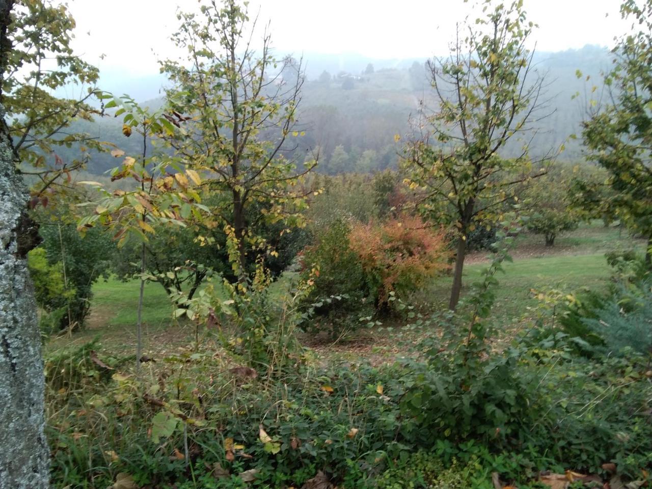 Cascina Baresane Bed & Breakfast Alba  Bagian luar foto